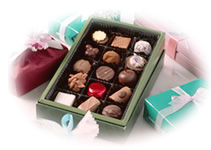 �V���R���@�A���e�B�U��BOX